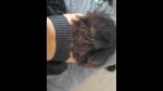 Playlist Thumb 109654901-2