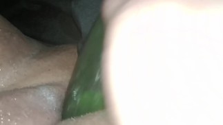 Толстушки Ифом Огурец Играть Lonely Dayz