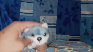 Синий волк Веселье#1