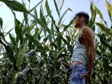 Summer jerk off in corn field - twitching cumming cock