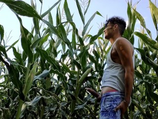 Summer Jerk off in Corn Field - Twitching Cumming Cock