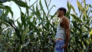 Summer jerk off in corn field - twitching cumming cock