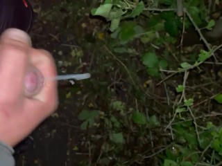 我在足球场旁边的树林里挑起了巨大的负荷