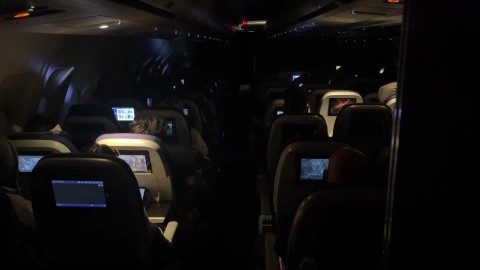 Mile High Club - Business Man Masturbates on an Airplane to Germany (creamy cumshot)