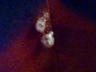 Creampie Breeding Cums thru Panties