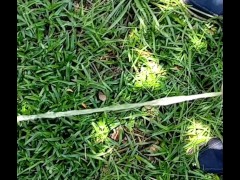 Pee Compilation - Screenshot 7 of 16 - Pissing Compilation