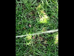 Pee Compilation - Screenshot 7 of 16 - Compilation