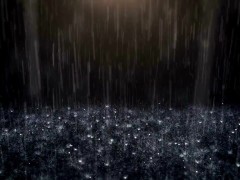 A Rainy Saturday