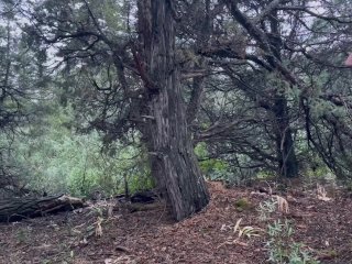 Pissing in the mountains