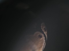 BRIXTN - Děvka - Screenshot 11 of 16 - Devka