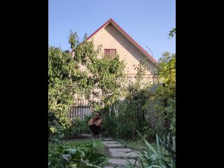 They are quite tasty. I enjoy walking.