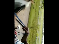 PORNHUB!!!! HAVE YOU EVER SEEN A GORILLA ON A HORSE??