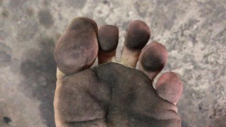 mis plantas sucias en una cochera luego de caminar horas por la calle 2 of 2