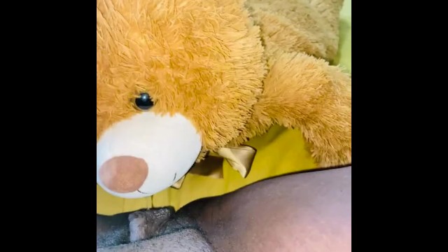 Похотливый мокрый трахает моего плюшевого мишку