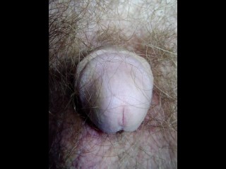 A Close-up of this Hairy Crotch