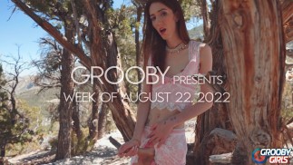GROOBY: Weekly Roundup, 22nd Aug
