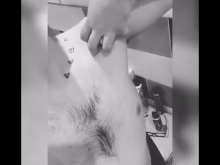 Gentle Wet Teasing and Face in Shower.