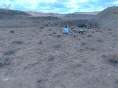 Ginger B Busted 2/16