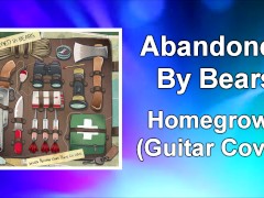 Abandoned By Bears - Homegrown Guitar Cover