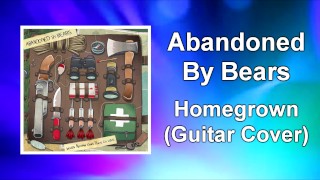 Abandoned By Bears — «Доморощенная» гитарная кавер-версия