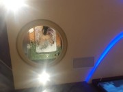 Preview 2 of POV my girlfriend is a professional slut? She brings my cock to orgasm-big ass in cum??