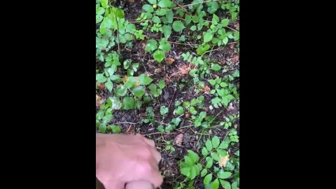 Public outdoor jerk off in the forest