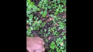 Public outdoor jerk off in the forest