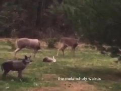 Yeah, I Do Voiceovers. Want One Of Your Own? ;) 