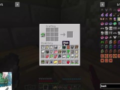 Minecraft Kingdom of Alryne Ep2 Getting a backpack