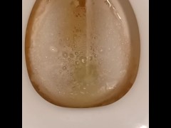 Dirty Toilet Pissing