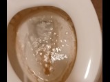 Toilet Pissing