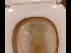 Toilet Pissing