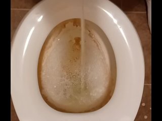 Pee Compilation 7 Videos