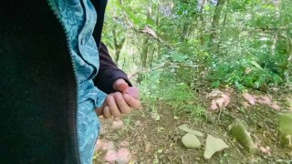 Caminhada guiada na floresta tropical com Mr.Grandecito