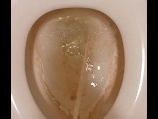peeing, toilet, fetish, naughty