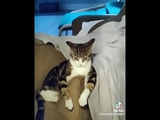 Car banging 