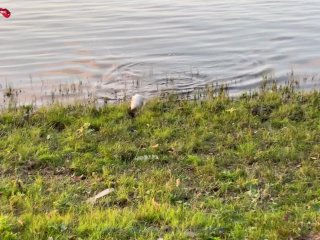 - Learn how to fish, Stepmom teaches stepson to fish and more...