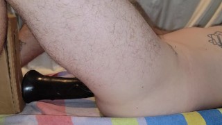 18 in horse cock belly bulge makes me cum