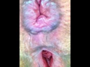 Preview 3 of Close Up of My Milf Anal Whore Anus Straining Constipation