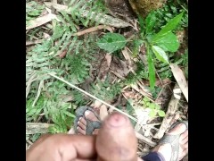 Big cock pissing on tree