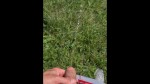 Playlist Thumb 175201692-1