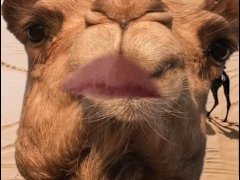 Why do guys even want my snapchat? 😂😂