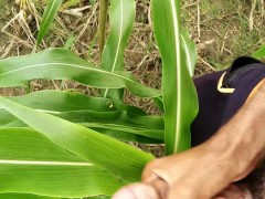 Big cock Cumming on field, Milk Cumshot
