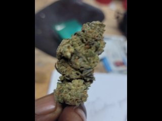 Space runz by Danks farm Corporation 