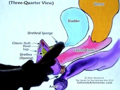 SQUIRTING TUTORIAL 2 !!! Mr PussyLicking 6/16
