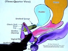SQUIRTING TUTORIAL 2 !!! Mr PussyLicking 7/16