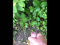 Pissing On A Tree At My Campground
