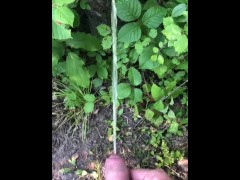 Pissing On A Tree At My Campground