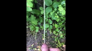 Pissing On A Tree At My Campground