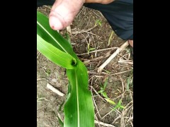 Pissing on Grass in outdoor